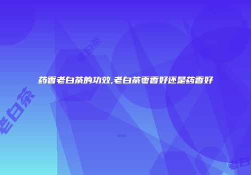 药香老白茶的功效,老白茶枣香好还是药香好