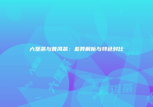 六堡茶与普洱茶：差异解析与特色对比
