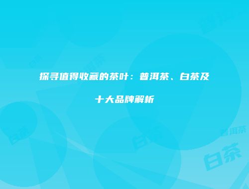 探寻值得收藏的茶叶：普洱茶、白茶及十大品牌解析