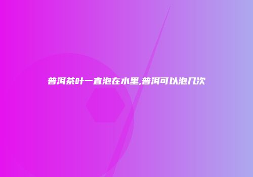 普洱茶叶一直泡在水里,普洱可以泡几次