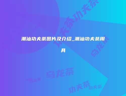 潮汕功夫茶图片及介绍_潮汕功夫茶用具