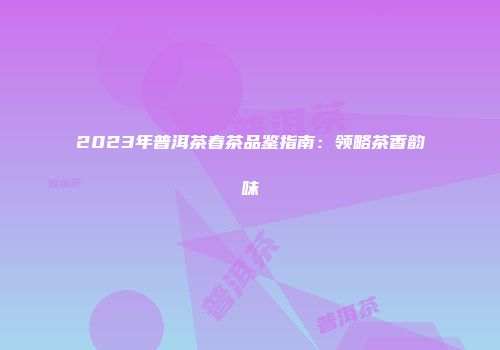 2023年普洱茶春茶品鉴指南：领略茶香韵味