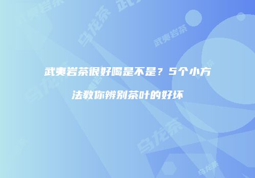 武夷岩茶很好喝是不是？5个小方法教你辨别茶叶的好坏