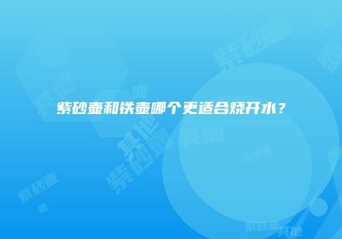 紫砂壶和铁壶哪个更适合烧开水？