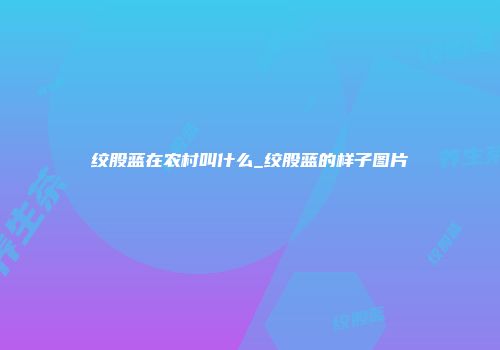 绞股蓝在农村叫什么_绞股蓝的样子图片