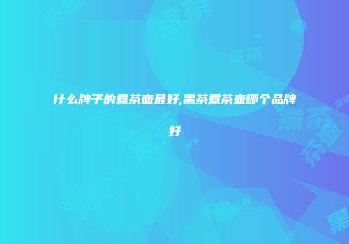 什么牌子的煮茶壶最好,黑茶煮茶壶哪个品牌好