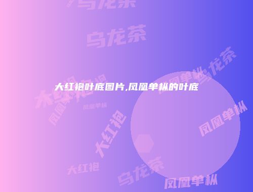 大红袍叶底图片,凤凰单枞的叶底