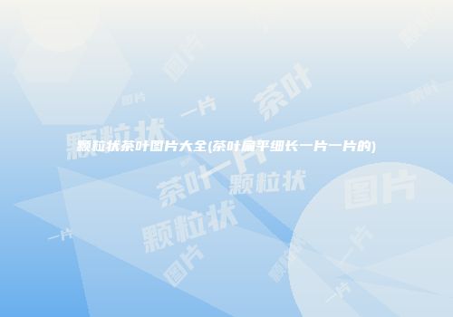 颗粒状茶叶图片大全(茶叶扁平细长一片一片的)