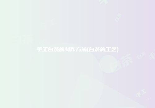 手工白茶的制作方法(白茶的工艺)