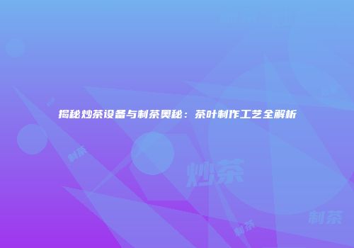 揭秘炒茶设备与制茶奥秘：茶叶制作工艺全解析