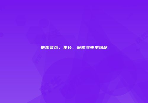 铁观音茶：生长、采摘与养生揭秘