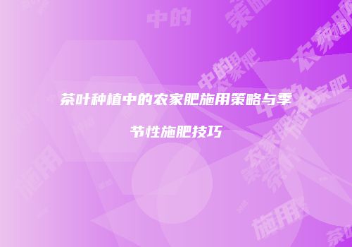 茶叶种植中的农家肥施用策略与季节性施肥技巧