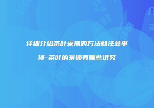 详细介绍茶叶采摘的方法和注意事项-茶叶的采摘有哪些讲究