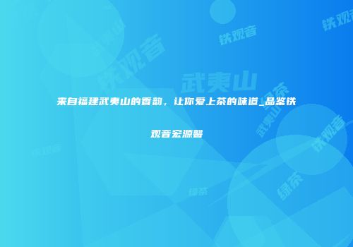 来自福建武夷山的香韵，让你爱上茶的味道_品鉴铁观音宏源馨