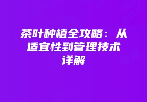 茶叶种植全攻略：从适宜性到管理技术详解