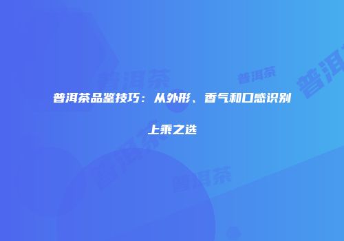 普洱茶品鉴技巧：从外形、香气和口感识别上乘之选