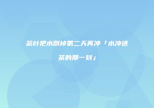 茶叶把水倒掉第二天再冲「水冲进茶的那一刻」