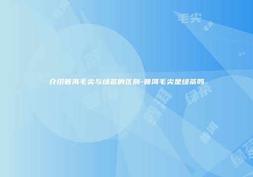 介绍普洱毛尖与绿茶的区别-普洱毛尖是绿茶吗