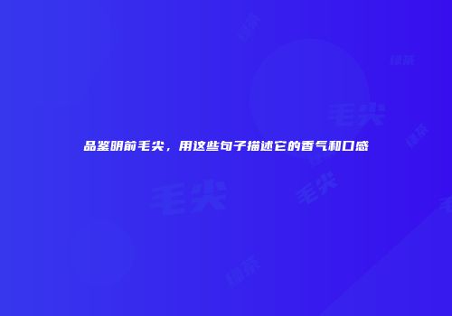 品鉴明前毛尖，用这些句子描述它的香气和口感