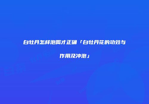 白牡丹怎样泡喝才正确「白牡丹花的功效与作用及冲泡」