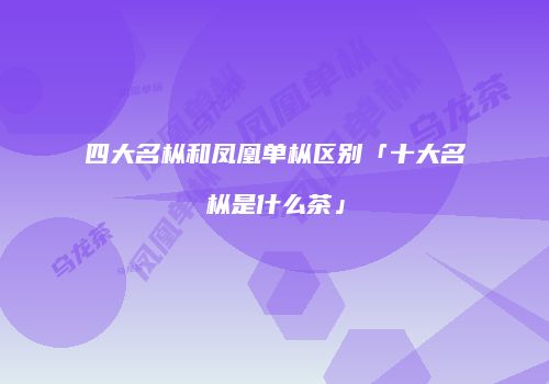 四大名枞和凤凰单枞区别「十大名枞是什么茶」