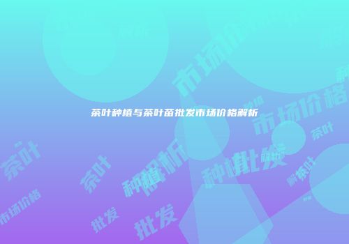 茶叶种植与茶叶苗批发市场价格解析