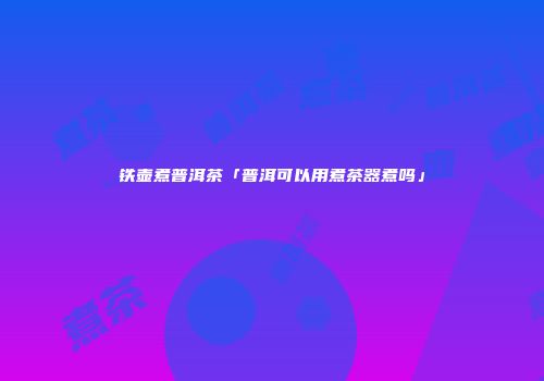 铁壶煮普洱茶「普洱可以用煮茶器煮吗」
