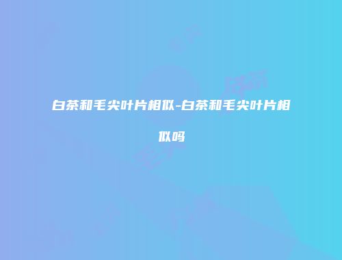 白茶和毛尖叶片相似-白茶和毛尖叶片相似吗