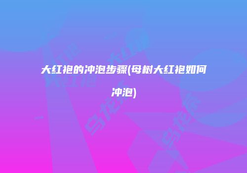大红袍的冲泡步骤(母树大红袍如何冲泡)