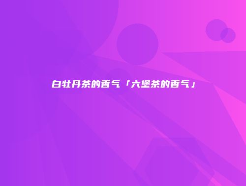 白牡丹茶的香气「六堡茶的香气」
