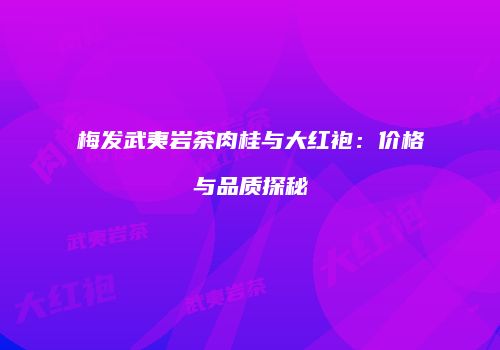 梅发武夷岩茶肉桂与大红袍：价格与品质探秘