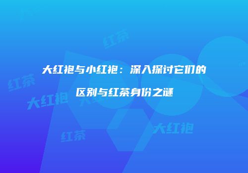大红袍与小红袍：深入探讨它们的区别与红茶身份之谜