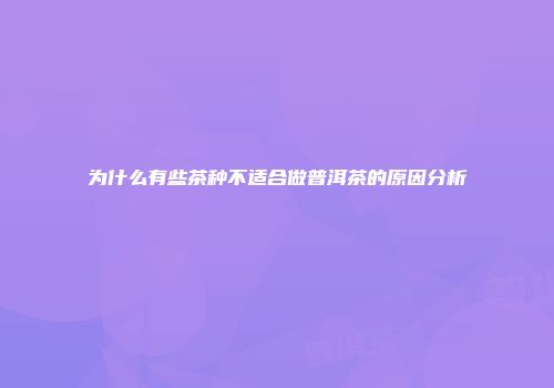 为什么有些茶种不适合做普洱茶的原因分析