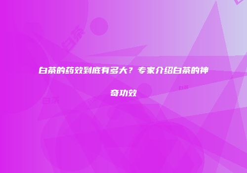 白茶的药效到底有多大？专家介绍白茶的神奇功效