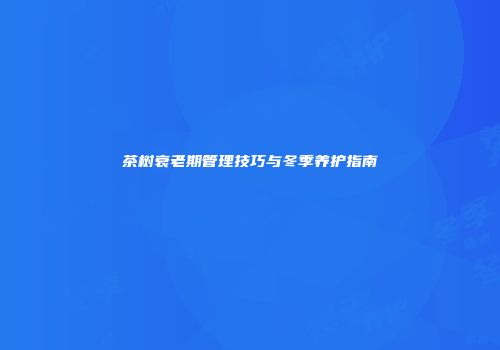 茶树衰老期管理技巧与冬季养护指南