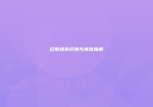 日照绿茶识别与挑选指南