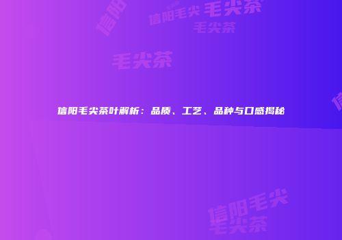 信阳毛尖茶叶解析：品质、工艺、品种与口感揭秘