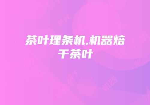 茶叶理条机,机器焙干茶叶