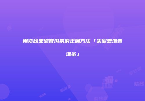 用紫砂壶泡普洱茶的正确方法「朱泥壶泡普洱茶」