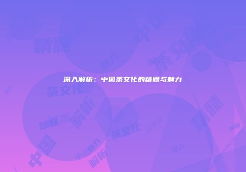 深入解析：中国茶文化的精髓与魅力