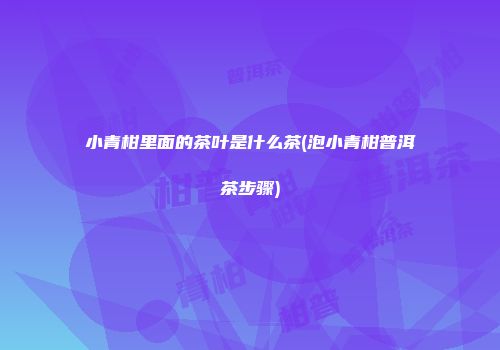小青柑里面的茶叶是什么茶(泡小青柑普洱茶步骤)