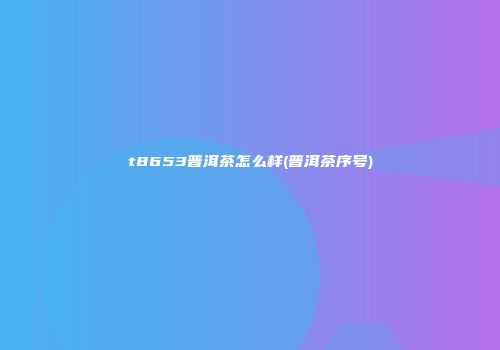 t8653普洱茶怎么样(普洱茶序号)