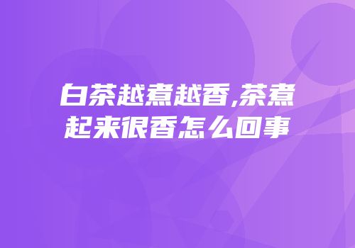 白茶越煮越香,茶煮起来很香怎么回事