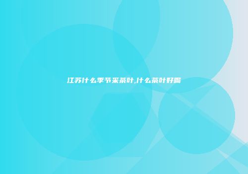江苏什么季节采茶叶,什么茶叶好喝