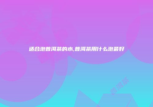 适合泡普洱茶的水,普洱茶用什么泡最好