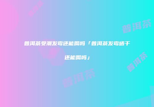 普洱茶受潮发霉还能喝吗「普洱茶发霉晒干还能喝吗」