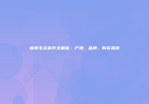 信阳毛尖茶叶全解析：产地、品牌、购买指南