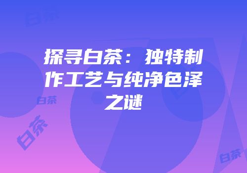 探寻白茶：独特制作工艺与纯净色泽之谜