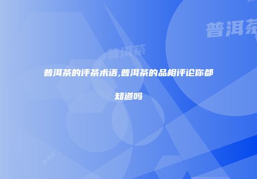 普洱茶的评茶术语,普洱茶的品相评论你都知道吗