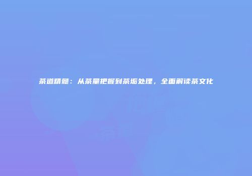 茶道精髓：从茶量把握到茶垢处理，全面解读茶文化